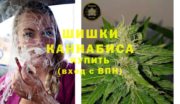 сатива Коряжма