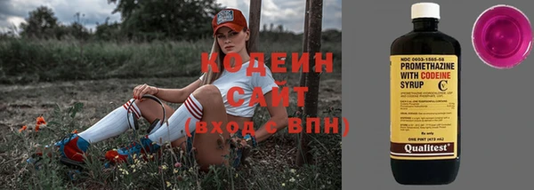 сатива Коряжма