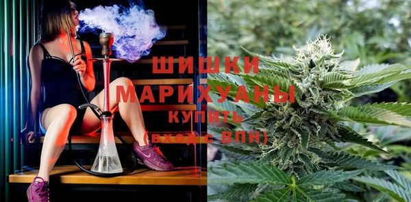 сатива Коряжма